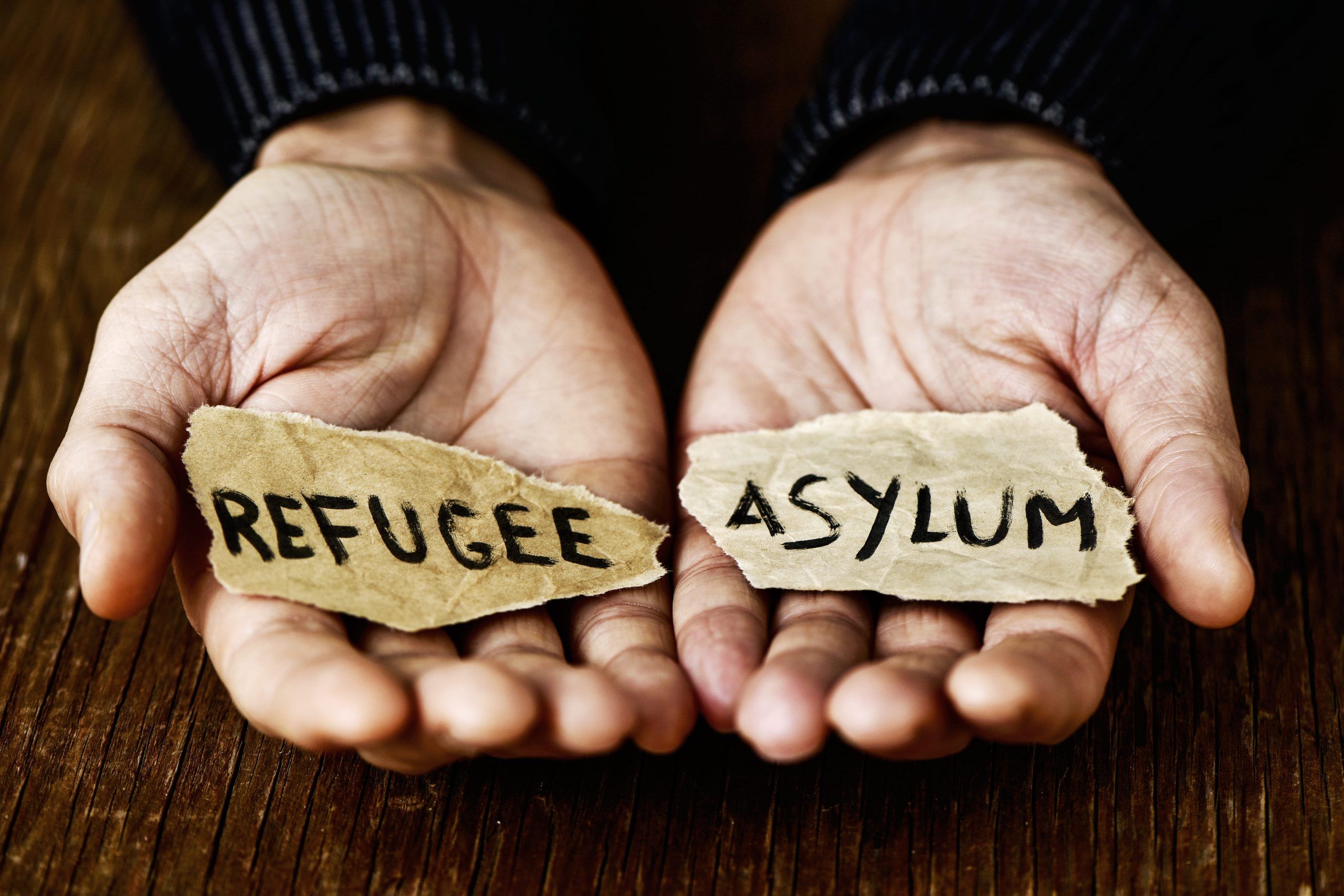 Seeking Asylum Definition